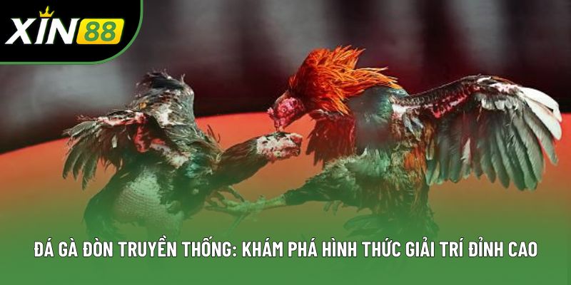 Đá Gà Đòn Truyền Thống: Khám Phá Hình Thức Giải Trí Đỉnh Cao