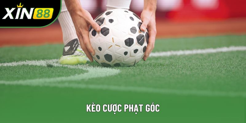 Kèo Cược Phạt Góc: Bật Mí Chi Tiết Cách Soi Kèo Chuẩn