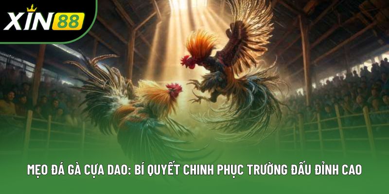 Mẹo Đá Gà Cựa Dao: Bí Quyết Chinh Phục Trường Đấu Đỉnh Cao